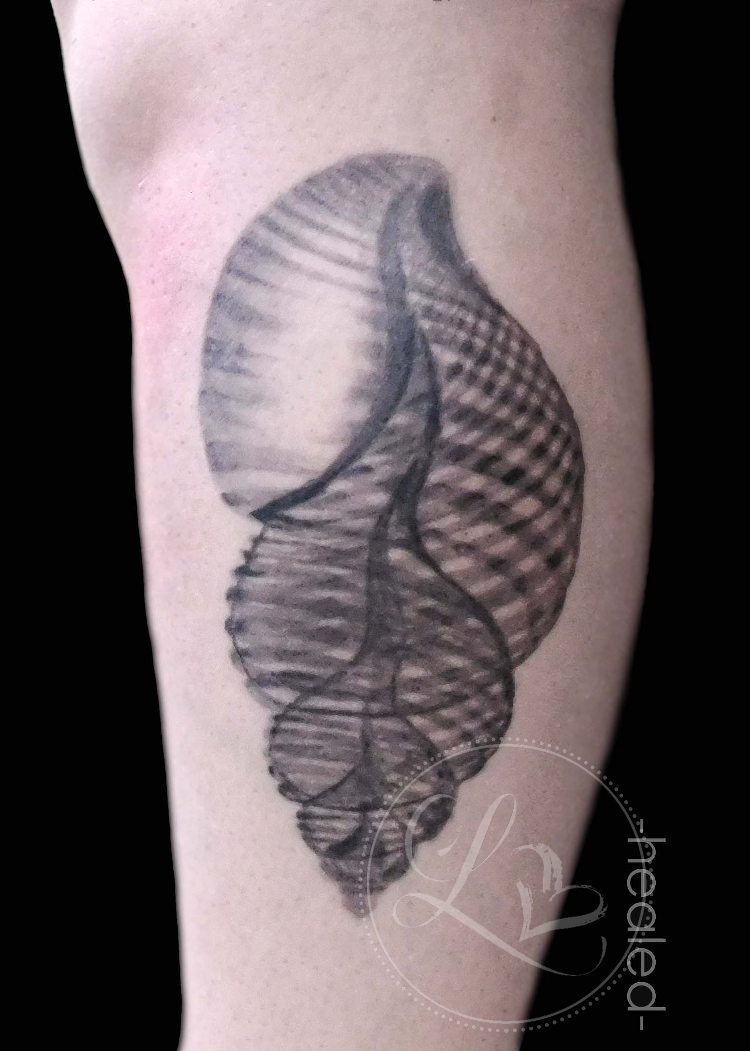 shell xray realism tattoo